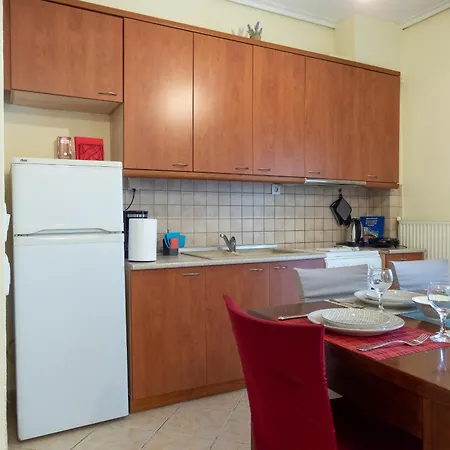 The Fir Trees House - Το Σπίτι Με Τα Έλατα Apartment Litochoro Exterior photo